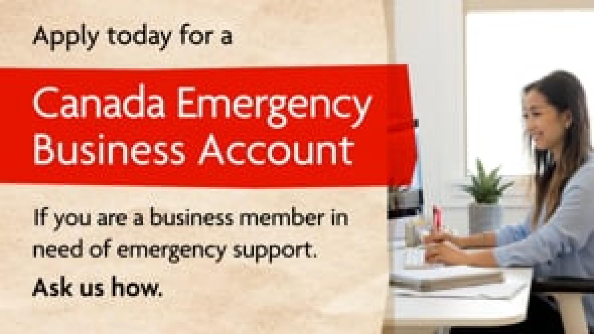 Preview image for the video "Vancity - Canada Emergency Business Account - in-branch digital display (no audio)".