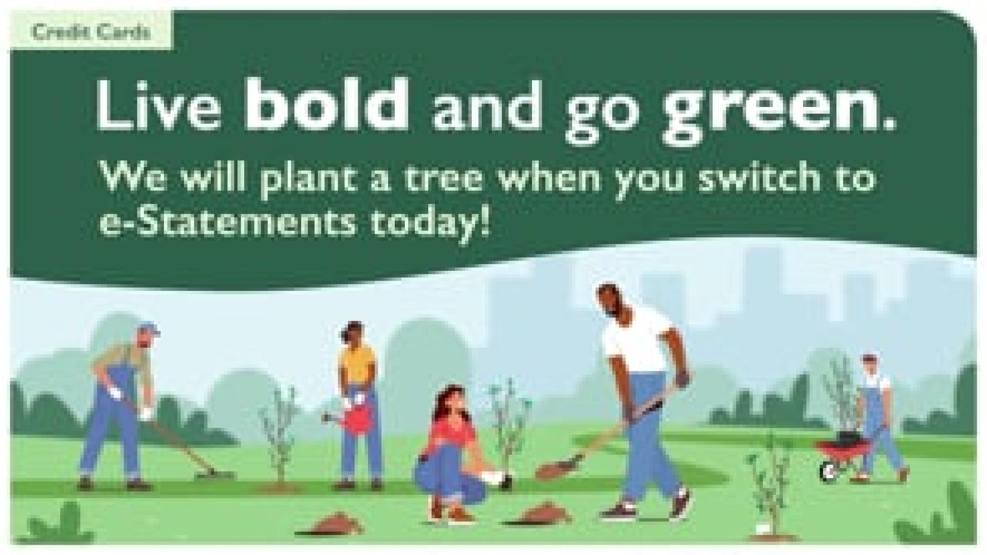 Preview image for the video "Collabria Financial - Fall e-Statement  Promotion - in-branch digital display - English edition (no audio)".